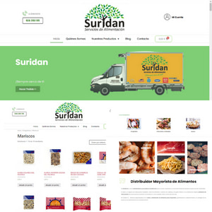 diseno-web-suridan